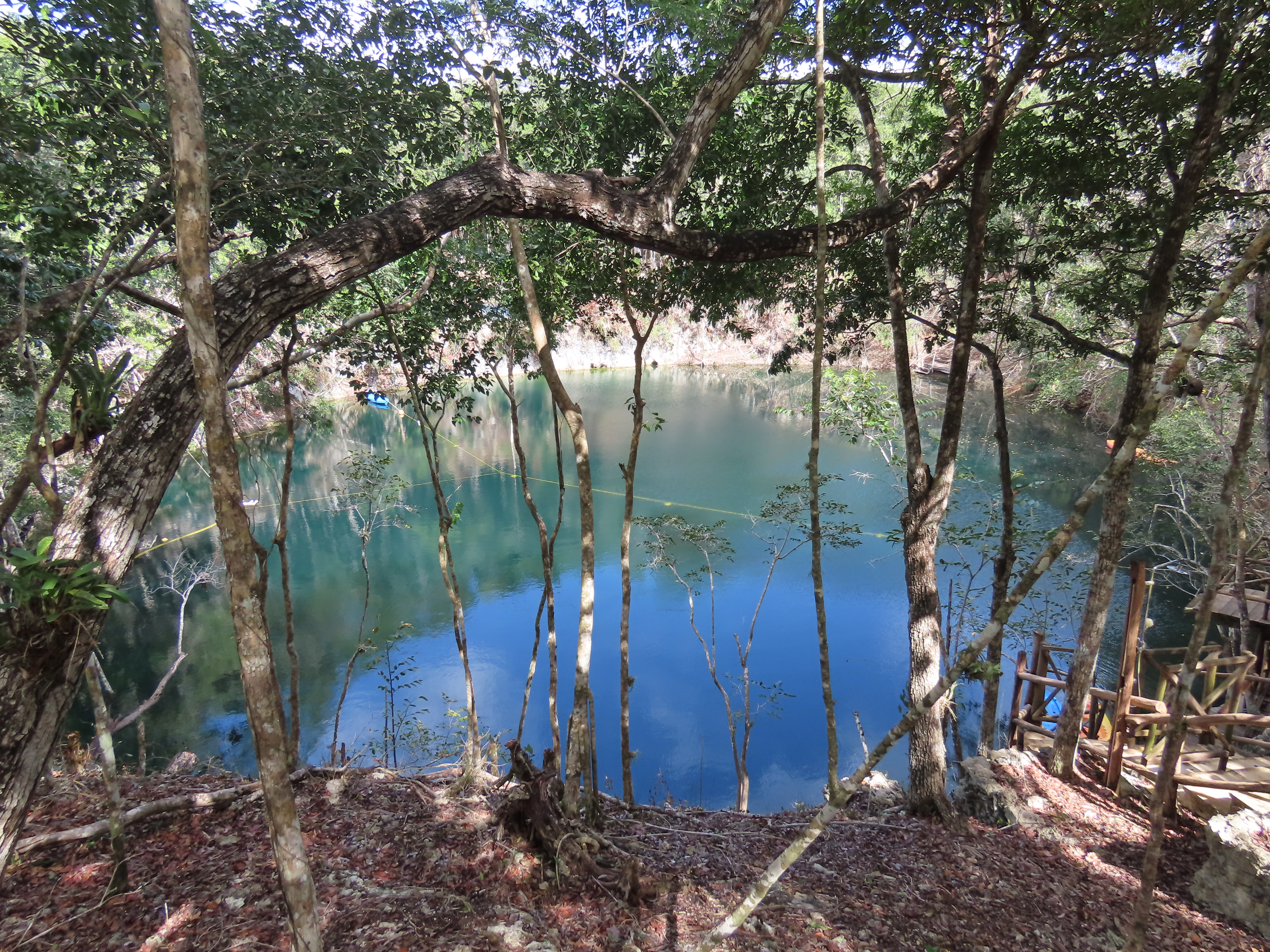 Cenote swim