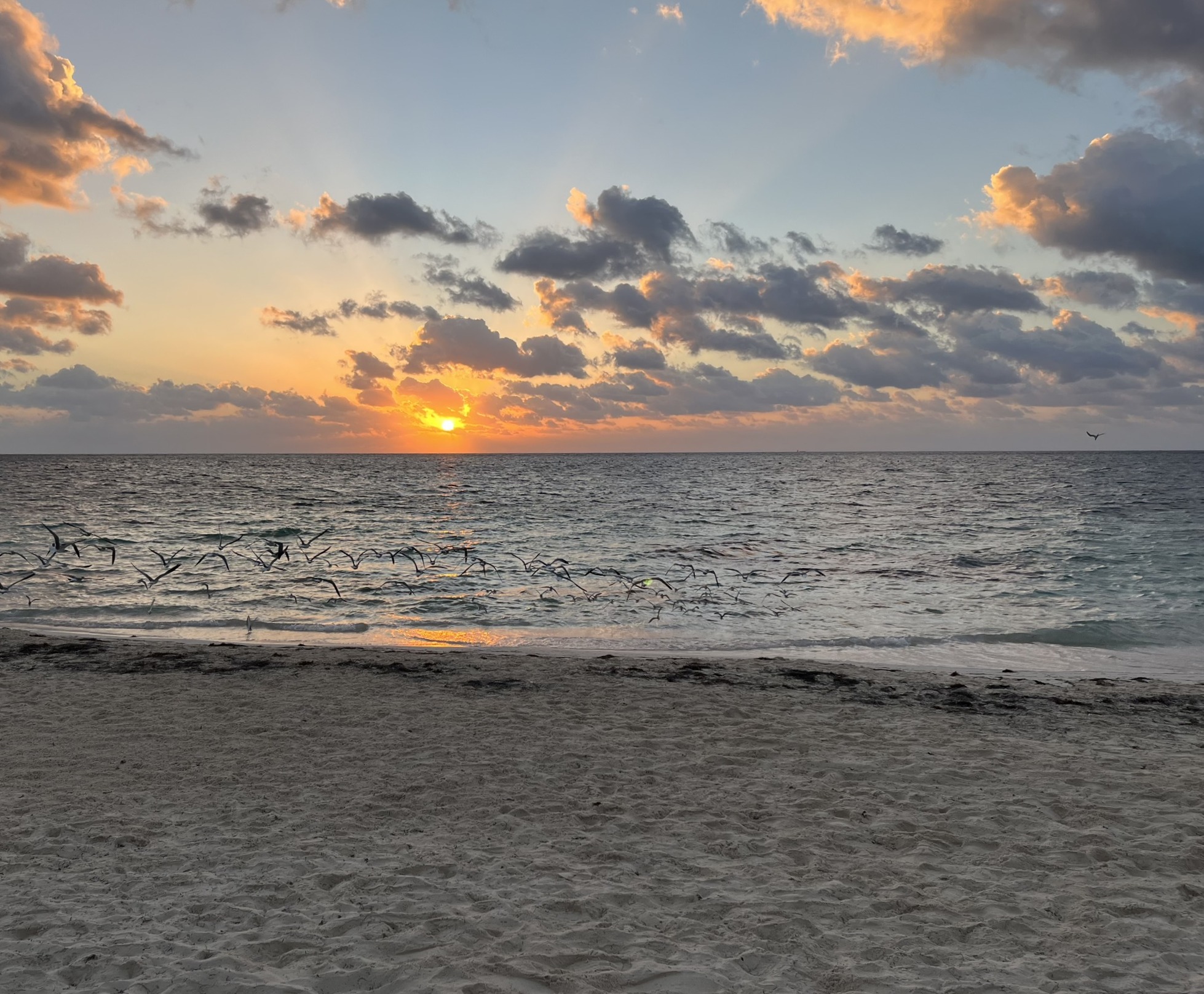 Beach at Puerto Morelos